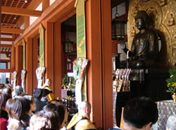 �C����g�ˉ��ߖ@�v �ʐ^