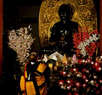 �ǌo������s�O