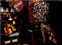 �@�v�̗l�q�Q