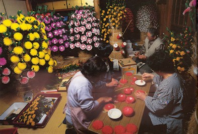 hanaeshiki-prep-7.jpg (51865 �o�C�g)