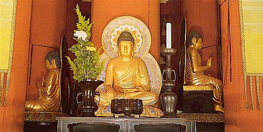 �����̓��w